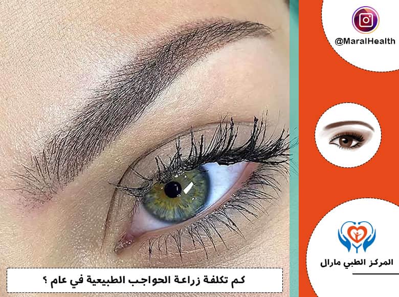 تكلفة زراعة الحواجب الطبيعية 2023 | المرکز الطبي مارال